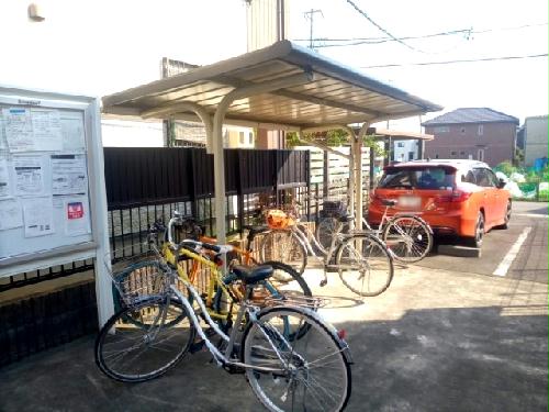 12/21 その他画像