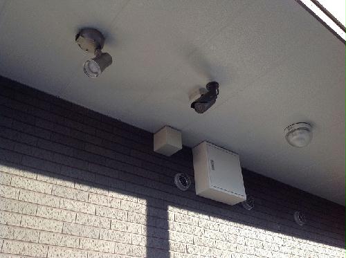 11/14 その他画像