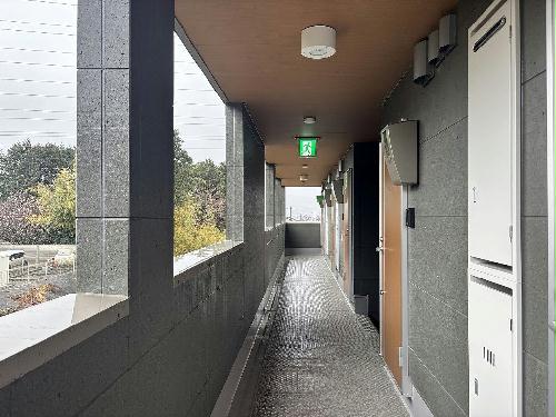 11/14 その他画像