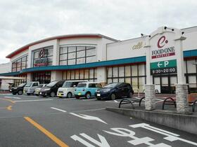 16/19 その他画像