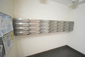 15/16 その他画像