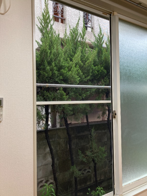 19/20 その他画像