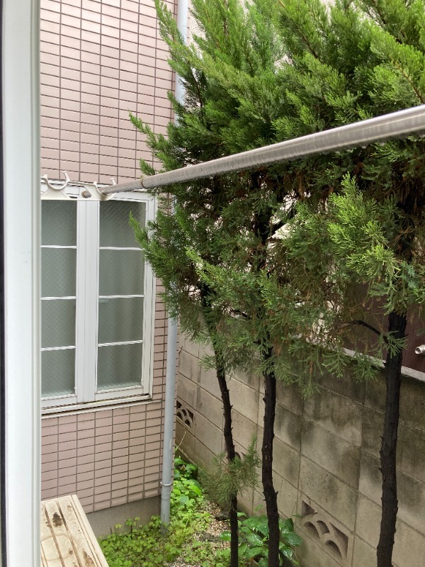 20/20 その他画像