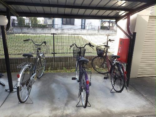 11/14 その他画像