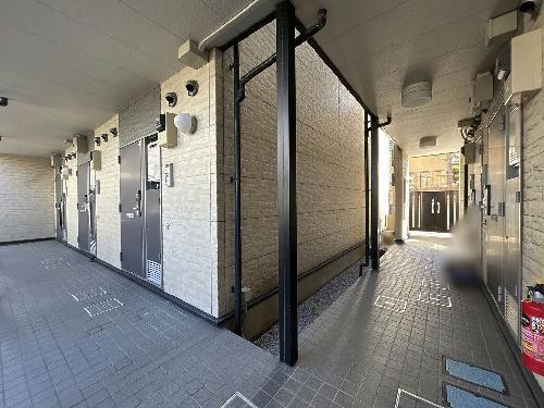 11/14 その他画像