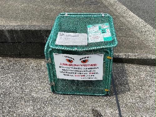 12/14 その他画像