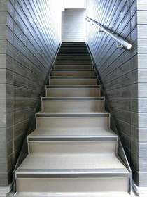 6/14 その他画像