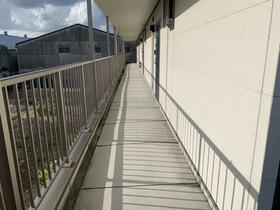 6/17 その他画像