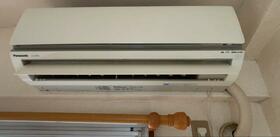 11/11 その他画像