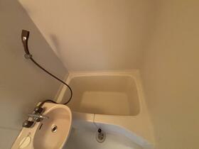 5/11 その他画像