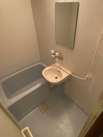 5/11 その他画像