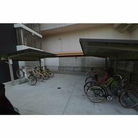 8/15 その他画像