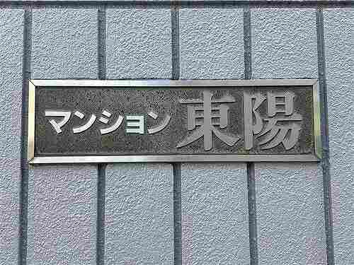 6/11 その他画像