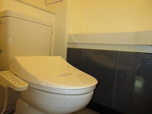 6/11 その他画像