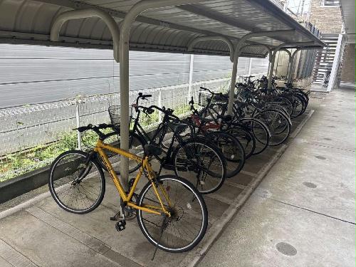 11/14 その他画像