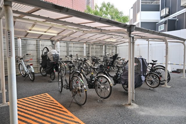 11/17 その他画像