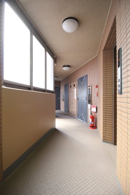 15/26 その他画像