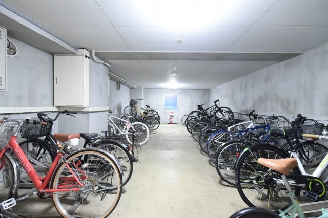 5/15 その他画像