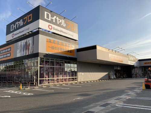 2/9 周辺