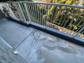 13/16 その他画像