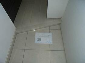 3/16 その他画像