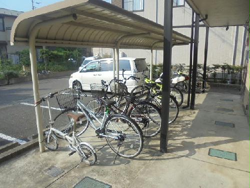 7/17 その他画像