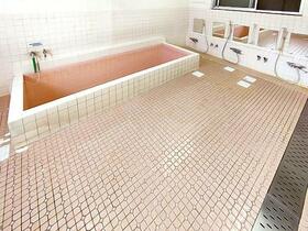 13/17 その他画像