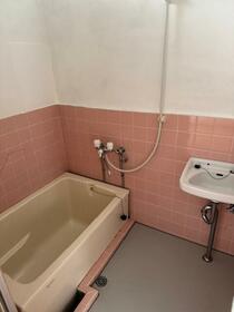 5/11 その他画像