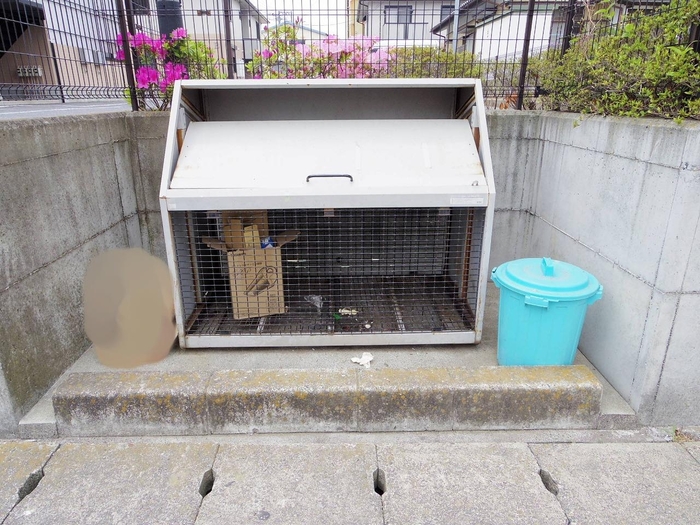 14/20 その他画像