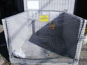 12/13 その他画像