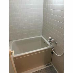 5/11 その他画像