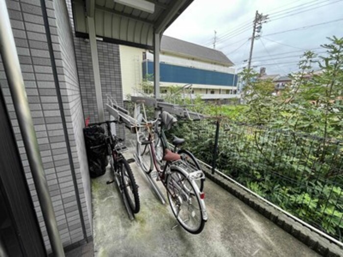 3/11 その他画像