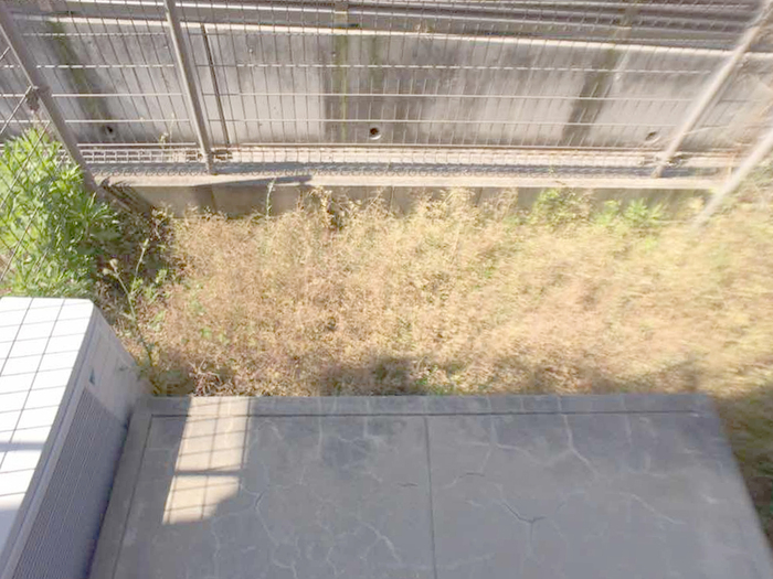 15/23 その他画像