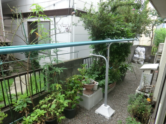 8/20 その他画像