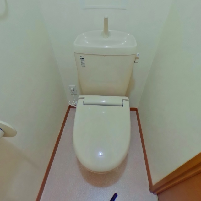 11/28 トイレ