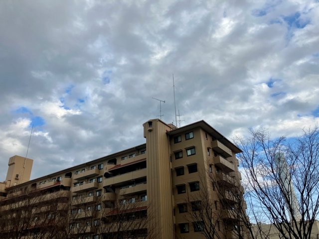 14/16 その他画像