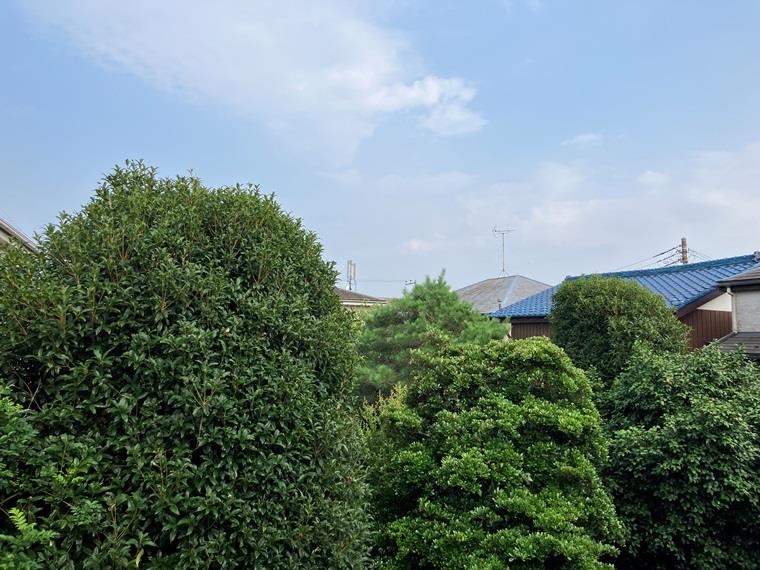 14/16 その他画像