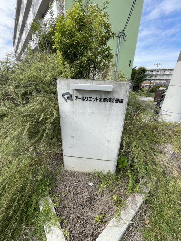 20/25 その他画像