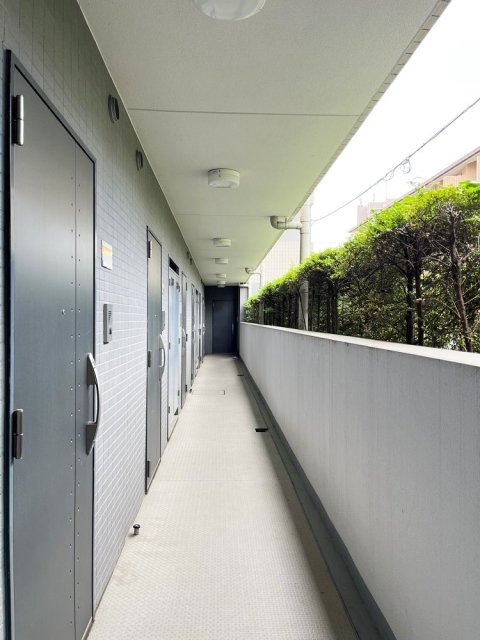 5/12 その他画像