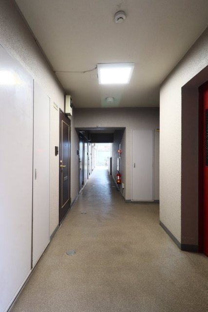 3/15 その他画像