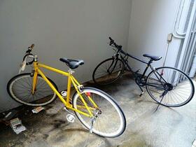 15/19 その他画像