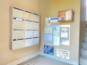 13/16 その他画像