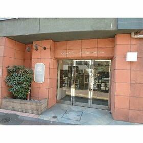 5/13 その他画像