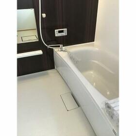 6/11 その他画像