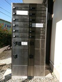 13/16 その他画像