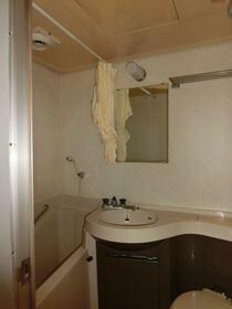 11/11 その他画像