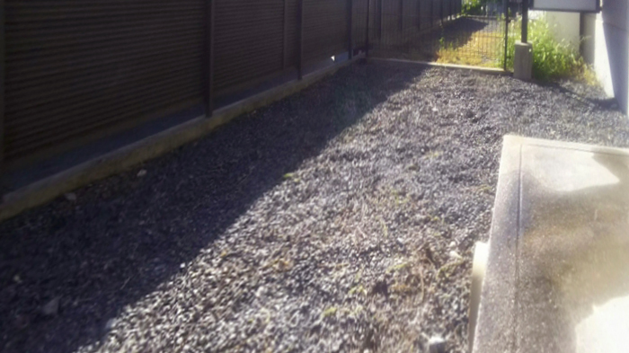 11/20 その他画像