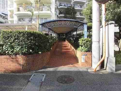 5/11 その他画像