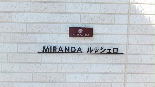 13/21 その他画像