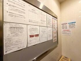 13/16 その他画像
